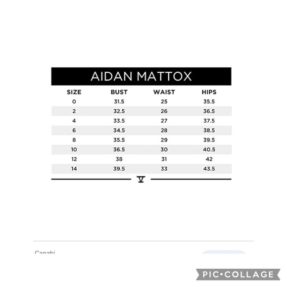 Aidan Mattox fully beaded V-neck sleeveless Open back long gown - Picture 9 of 9